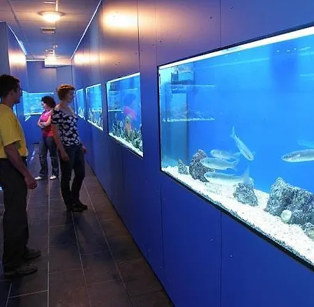 بيت ضيافة House Gorica 2 - Underground Level 4*