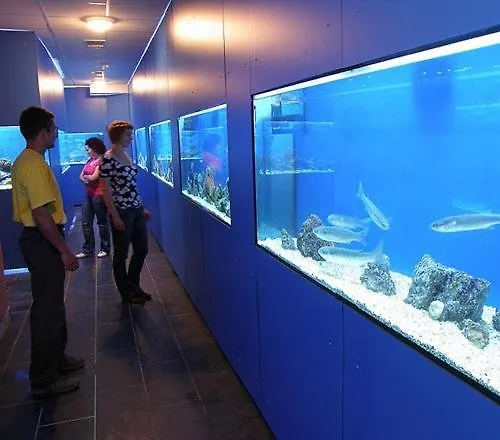 Pensjonat House Gorica 2 - Underground Level 4*